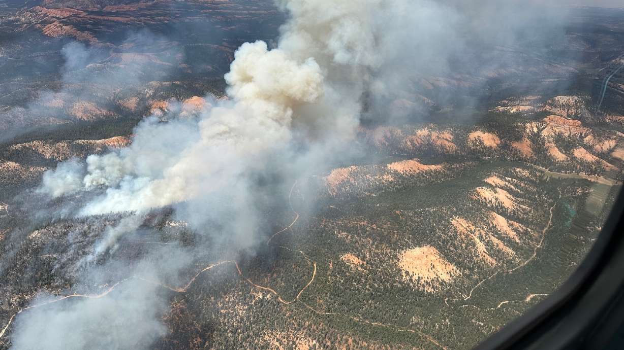 The France Canyon Fire burns on Tuesday in Dixie National Forest and is estimated at nearly 5,000 acres.