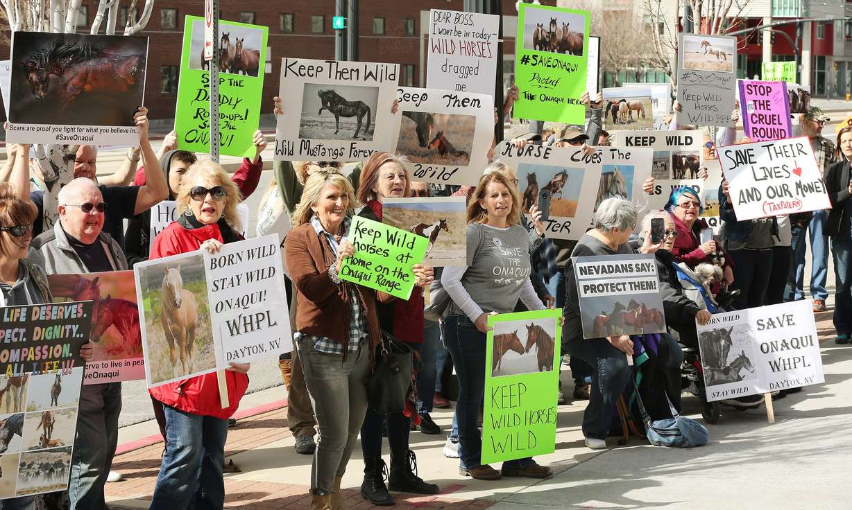 Horse advocates rally in front of the Bureau of Land Management offices in Salt Lake City on April 5, 2019. The group protested the mass removal of horses from the Onaqui Herd Management Area near Tooele.