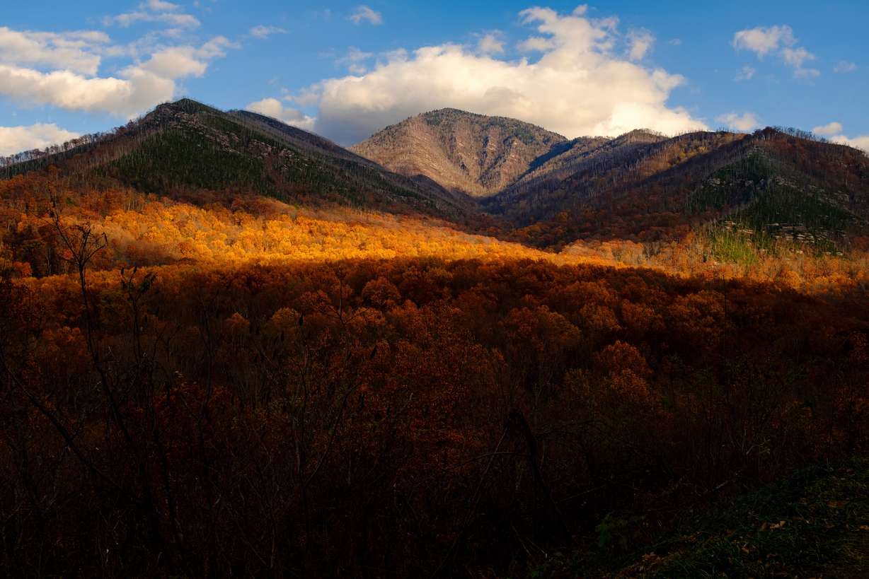 Late afternoon light streaks across golden leaves in Great Smoky Mountains National Park near Gatlinburg, Tenn., on Nov. 16, 2021. The national park was named Kuru's top spot for hiking Wednesday.