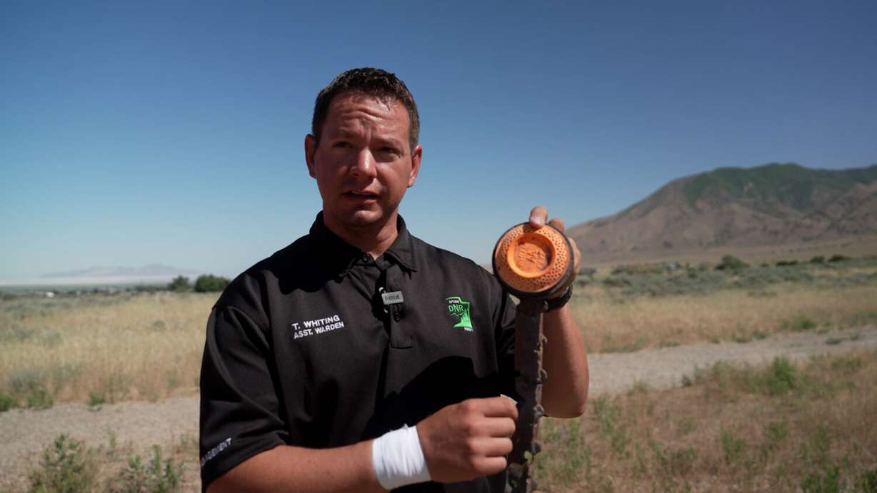 Tooele County Assistant Fire Warden Trevor Whiting holds up a metal pole with multiple bullet holes in it as he says hot metal from it sparked a fire in 2024, Wednesday in Tooele.