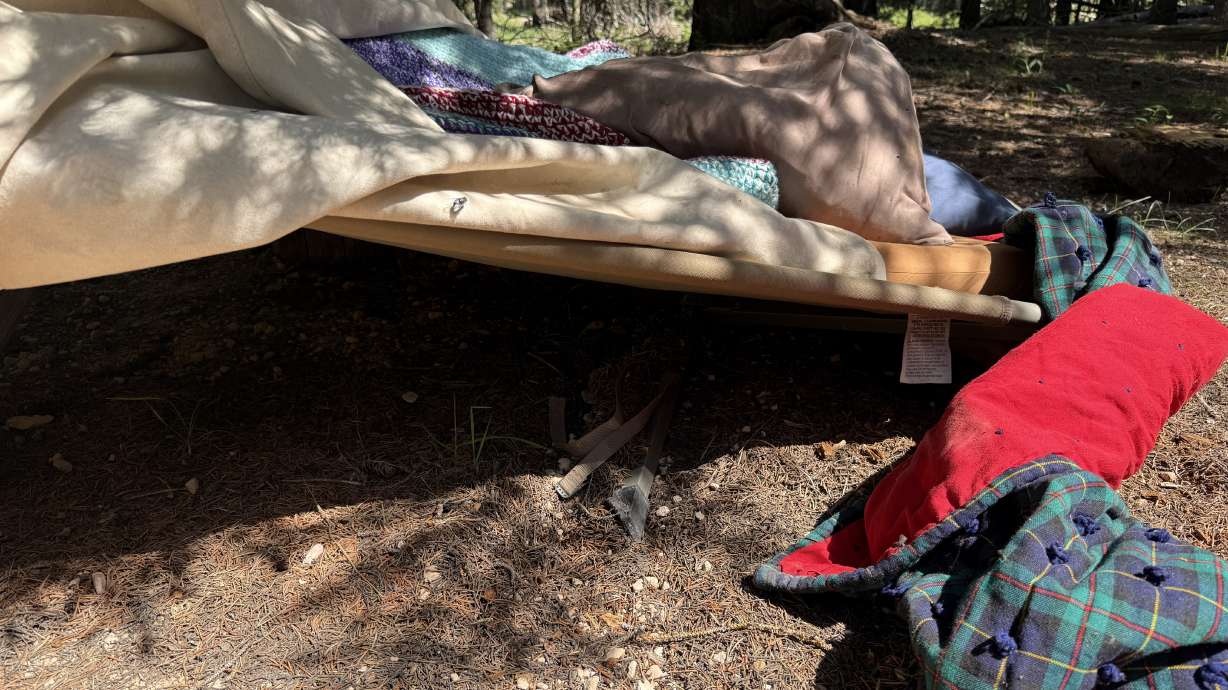 A man sleeping in a cot in Garfield County was bitten on the arm Tuesday by a black bear. State wildlife officials tracked down the bear on Wednesday and killed it.