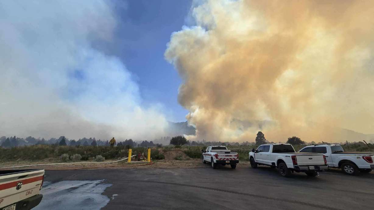 The Forsyth Fire burns near Pine Valley, Washington County, on June 20. Officials gave updates on that fire and the Forsyth Fire on Saturday.