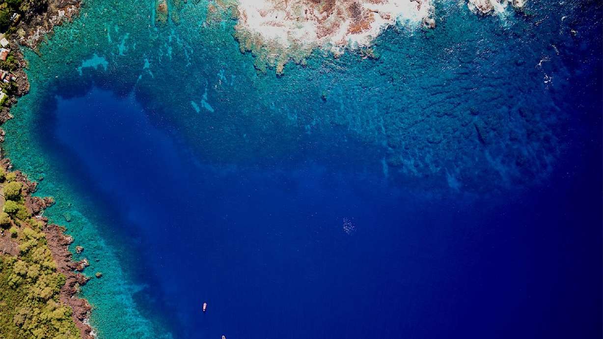 Sea urchin populations are ballooning in Hōnaunau Bay in Hawaii, putting the coral reef at risk, a new study has found.
