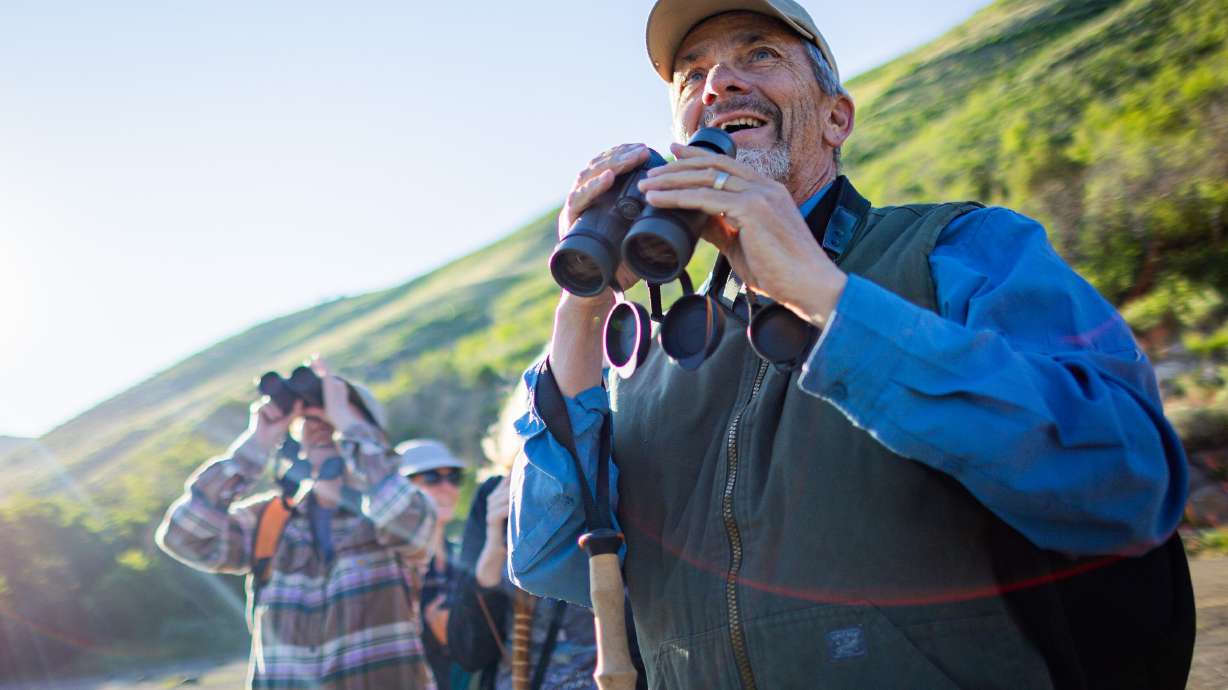 Paul Bernard looks at a yellow-breasted chat during a Great Salt Lake Audubon society bird walk at Yellow Fork Canyon in Herriman on June 8.