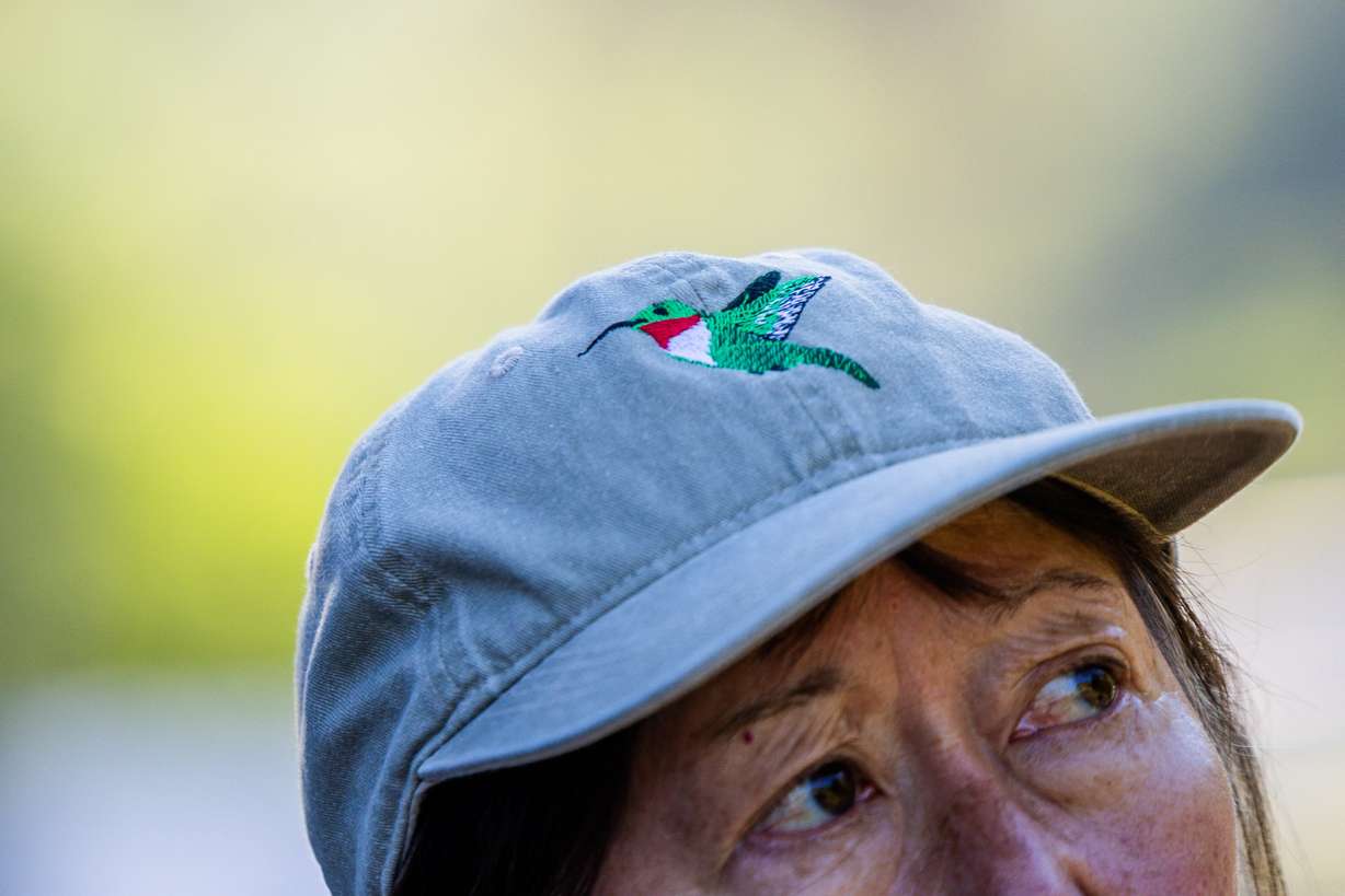 Alysia Watanabe sports a bird-embroidered hat during a Great Salt Lake Audubon society bird walk at Yellow Fork Canyon in Herriman on June 8.