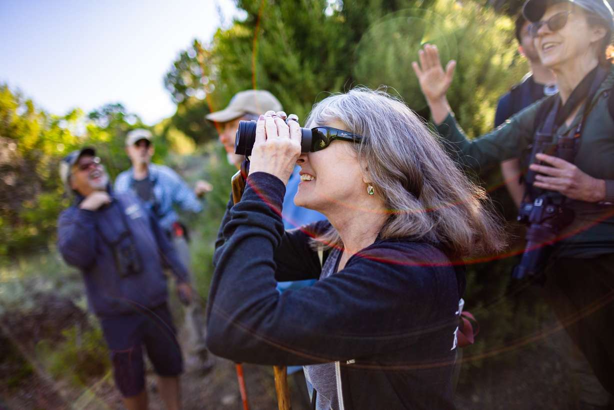 Gail Decourt, center, looks for birds in the woods during a Great Salt Lake Audubon society bird walk at Yellow Fork Canyon in Herriman on June 8.