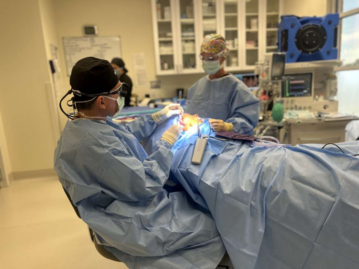 Medical staff operate on 10-year-old Brihanna Rodriguez during her otoplasty.