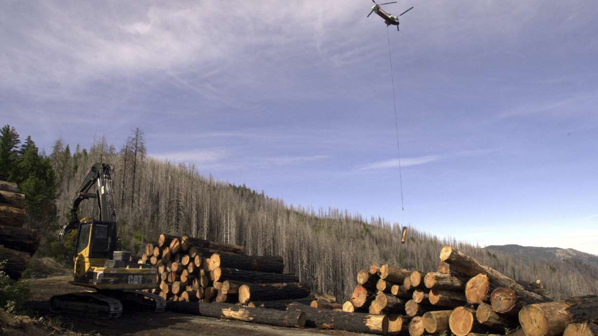 A helicopter ferries a log to the landing, Sept. 20, 2006, on the Mike's Gulch timber sale in the South Kalmiopsis Roadless Area of the Rogue River-Siskiyou National Forest near Selma, Ore. A wildfire prevention bill repealing the "Roadless Rule" passed a Senate committee on Wednesday.
