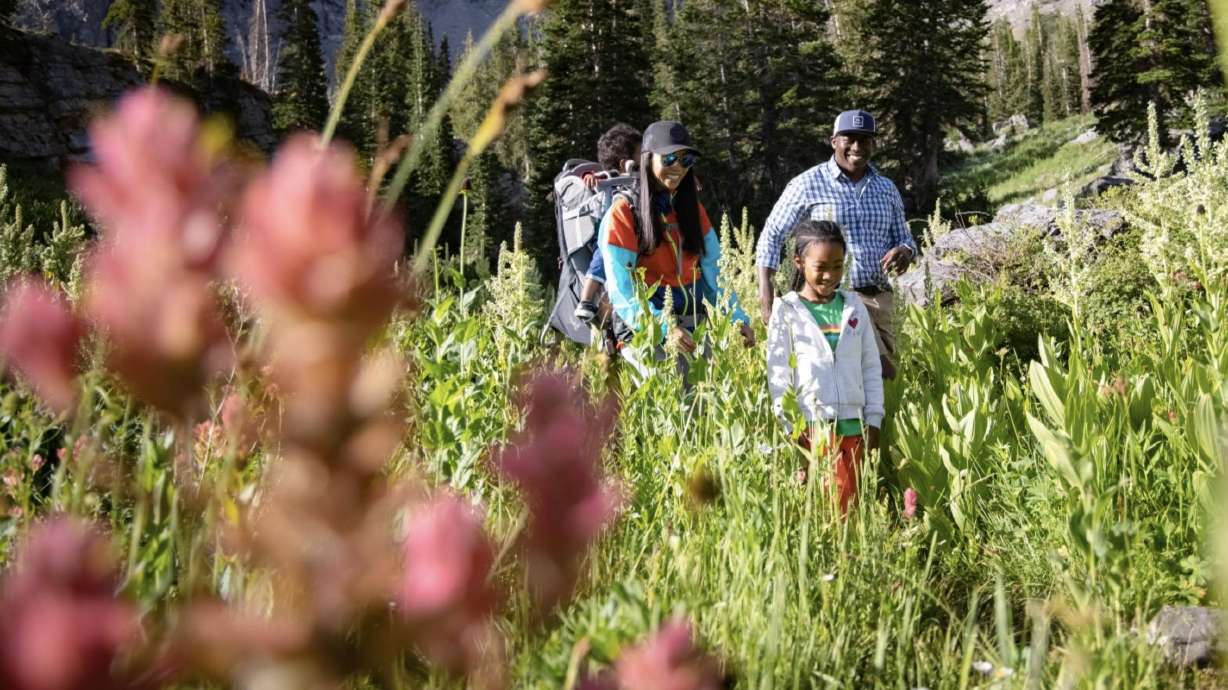 Where and when to find Utah's breathtaking wildflowers