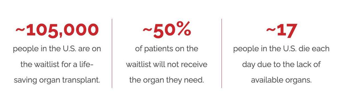 Intermountain Health patient first to be treated with external bioengineered liver