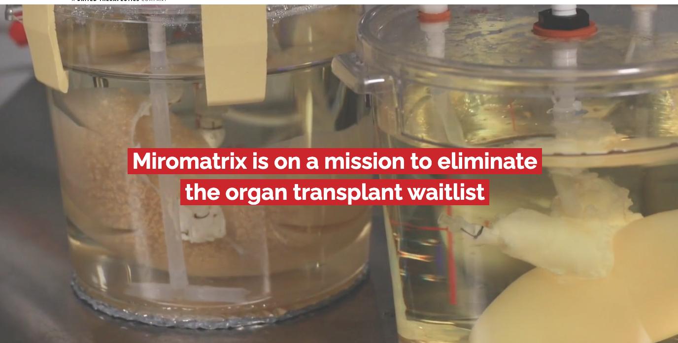 Minnesota-based Miromatrix has bioengineered kidneys and livers to help patients awaiting transplant surgeries.