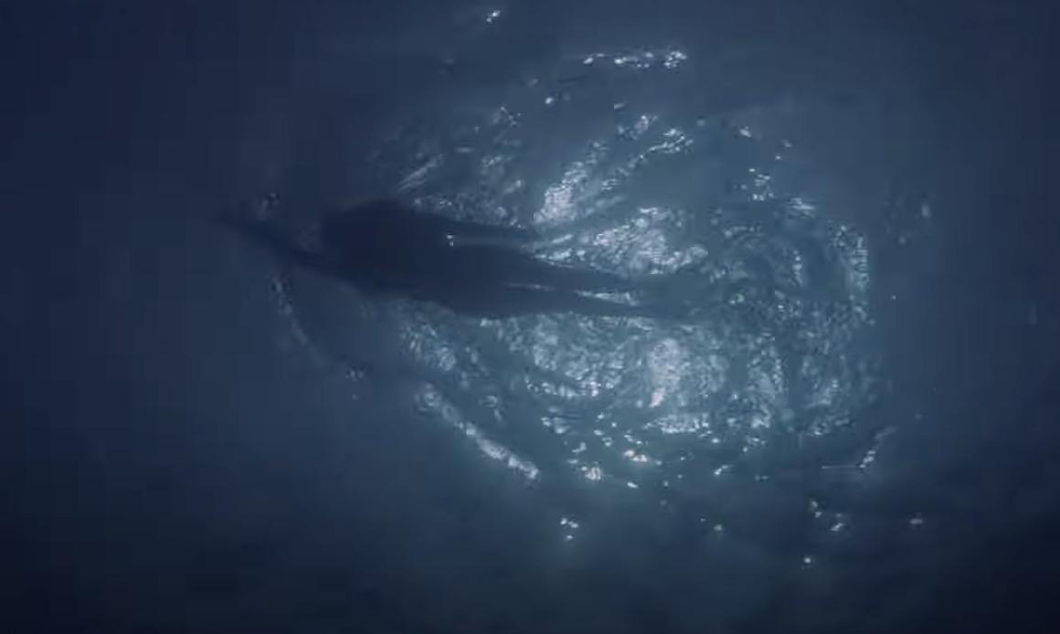 Have You Seen This? Jaws turns 50
