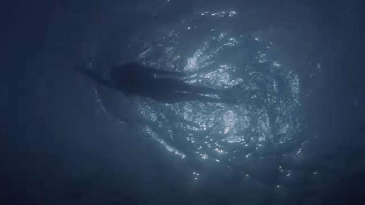 Steven Speilberg's "Jaws" was released in theaters June 25, 1975, and going to the beach has never been the same.