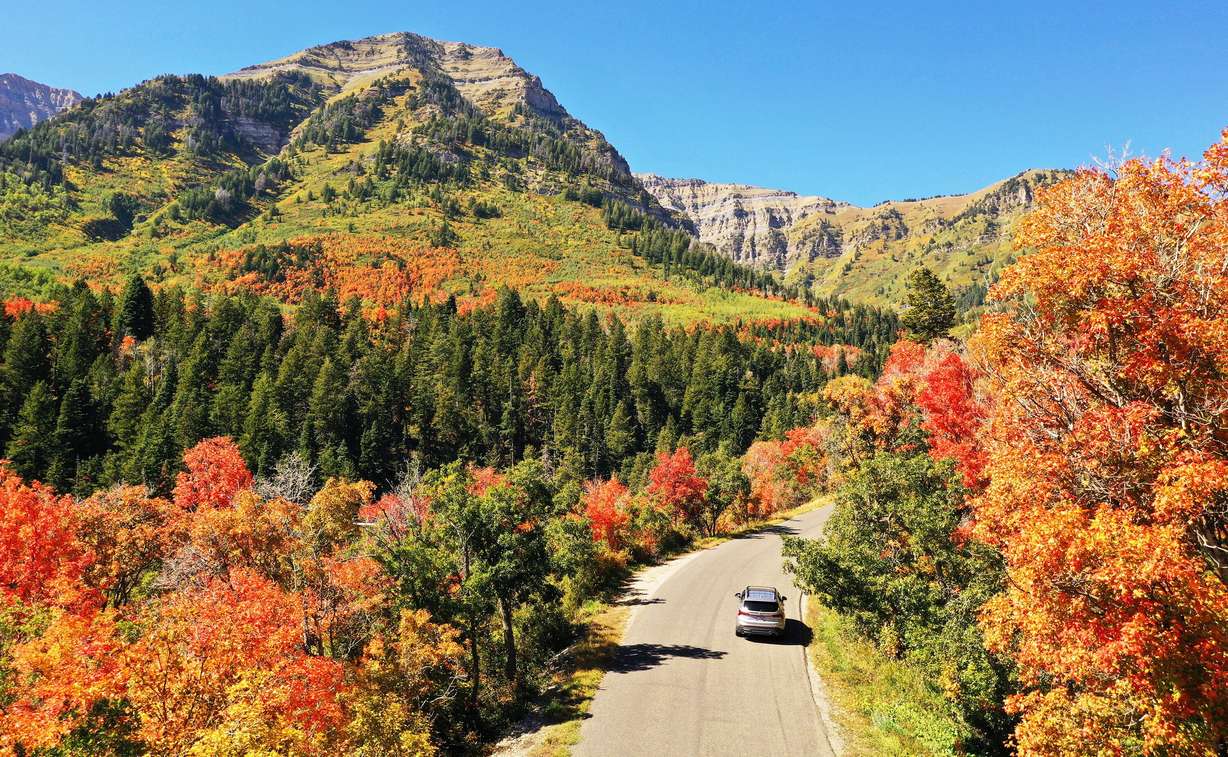 A motorist travels on the Alpine Loop Scenic Byway with a view of the fall colors on Sept. 26, 2023.