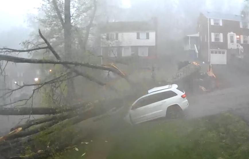 A tree falls on a vehicle in Penn Hills, Pennsylvania, on April 29.