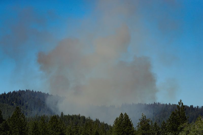 2 firefighters killed in Idaho shooting; gunman still active, sheriff says