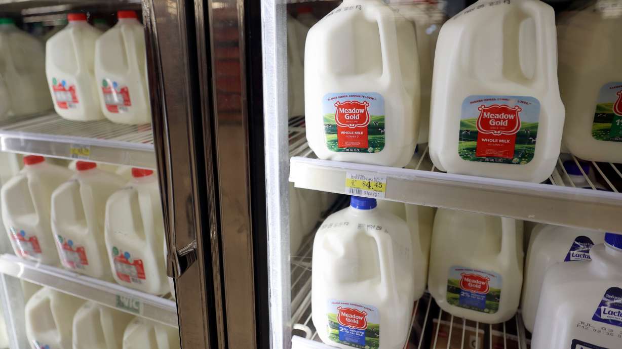 A new Canadian study suggests that consuming dairy may increase the likelihood of nightmares and poor-quality sleep.