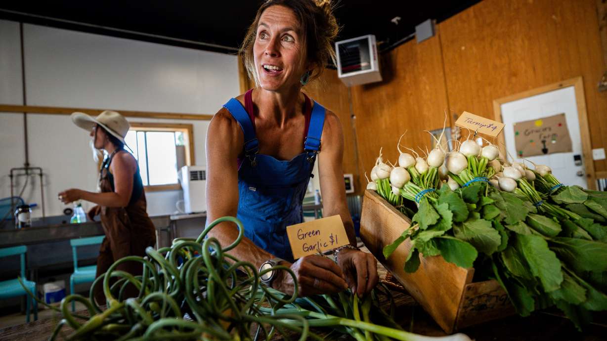 Lynsey Gammon, the farm director at Gracie's Farm, sets up for the farm stand in Wanship on June 20.