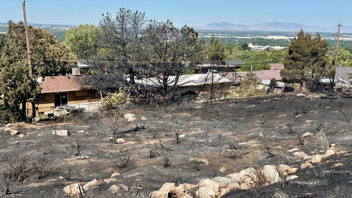 A fire started by fireworks on Sunday on a mountainside above 9th Street and Maxwell Avenue in Ogden severely damaged a home and prompted the temporary evacuation of seven or eight other homes. The photo shows part of the area torched by the blaze.