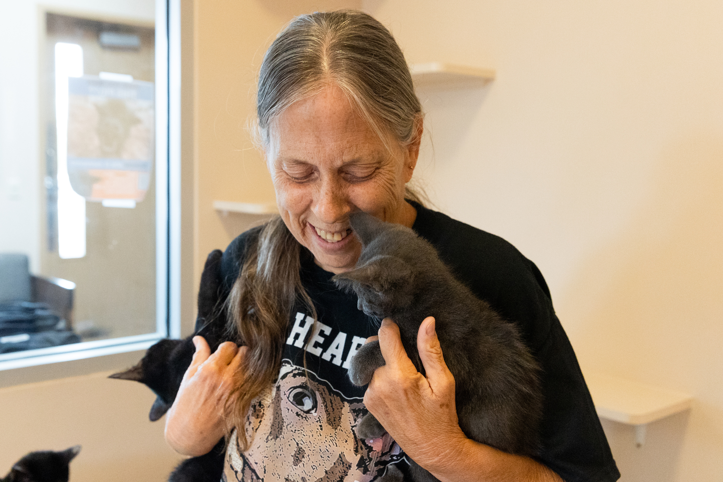 Animal Care of Davis County looking for some playful volunteers