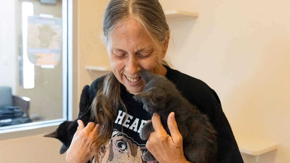 Michelle South, a volunteer with an animal shelter, holds two kittens on July 26, 2023. Animal Care of Davis County is also looking for volunteers, especially those wanting to play with cats.