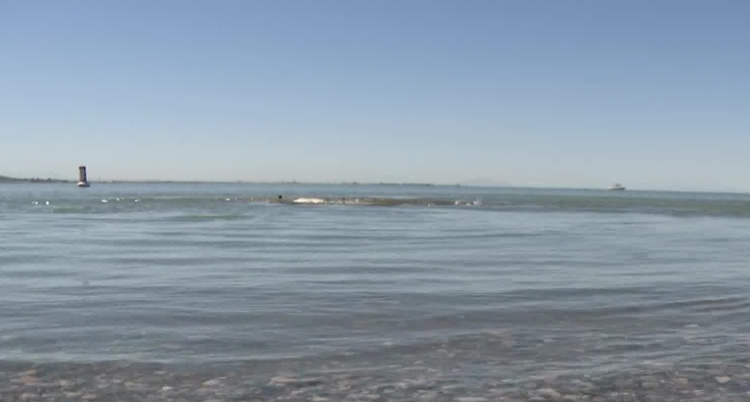 Willard Bay to be drained halfway to make room for repair