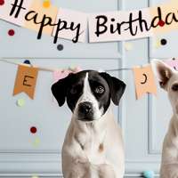 Humane Society of Utah's 65th birthday, sponsored by KSL