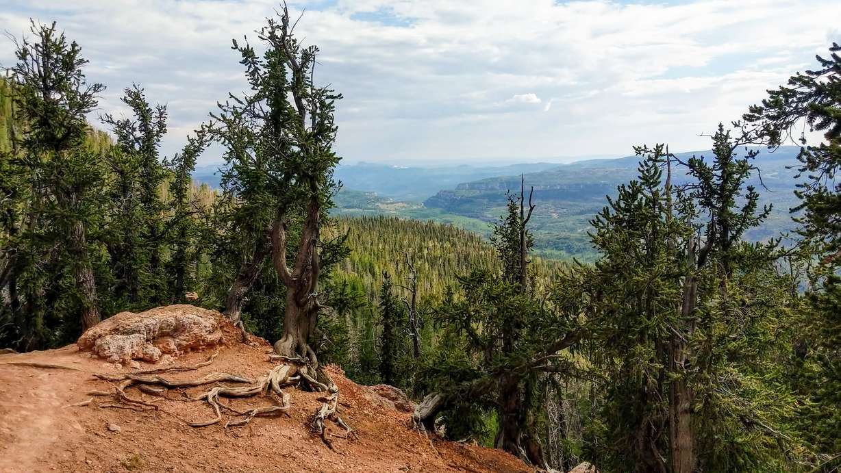 11 free or budget-friendly activities to do in Cedar City