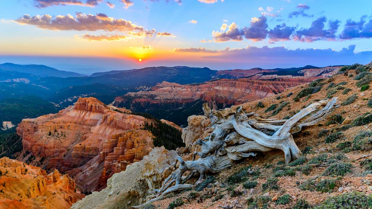 11 free or budget-friendly activities to do in Cedar City