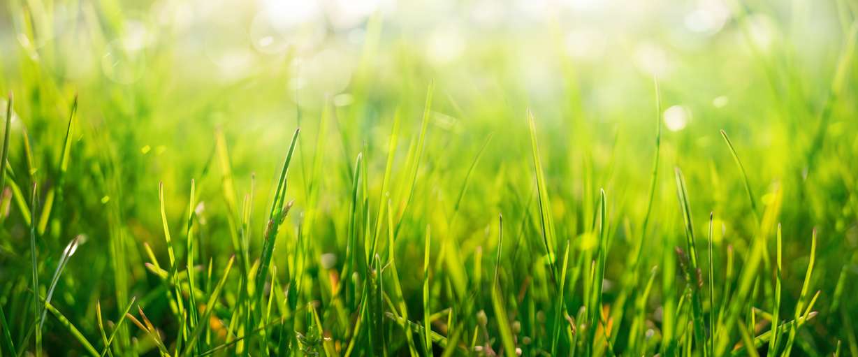 10 ways to be water-wise when most of Utah is in a drought
