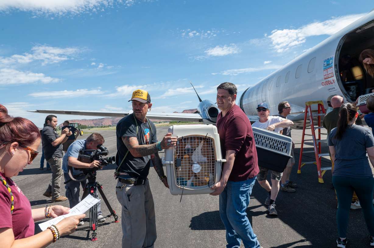People help unload shelter animals from a flight from Texas on Wednesday. Best Friends Animal Society funded an emergency rescue flight with Wings of Rescue, in partnership with Austin Pets Alive! to transport shelter animals affected by recent floods in Texas.