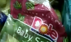 Bag of Spinach in Utah Tests Positive for E. Coli