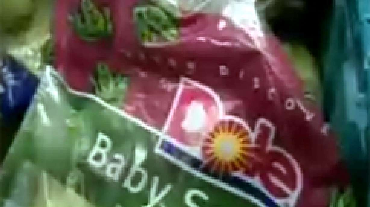 Bag of Spinach in Utah Tests Positive for E. Coli