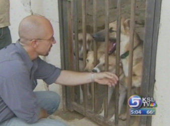 Rescued Pets On Their Way from Lebanon to Utah