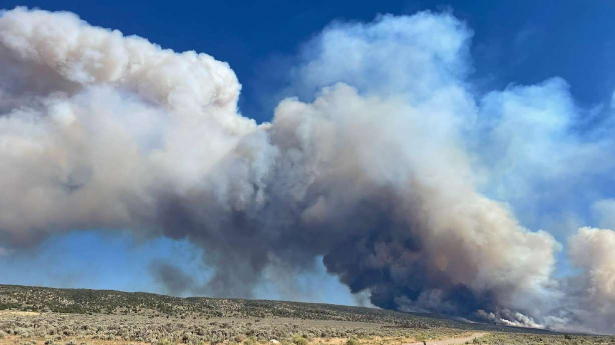 The White Sage Fire burns near Jacob Lake, Arizona on Thursday. The fire has already burned over 8,500 acres, prompting evacuations in the area. Grand Canyon National Park also closed the park's North Rim "until further notice."
