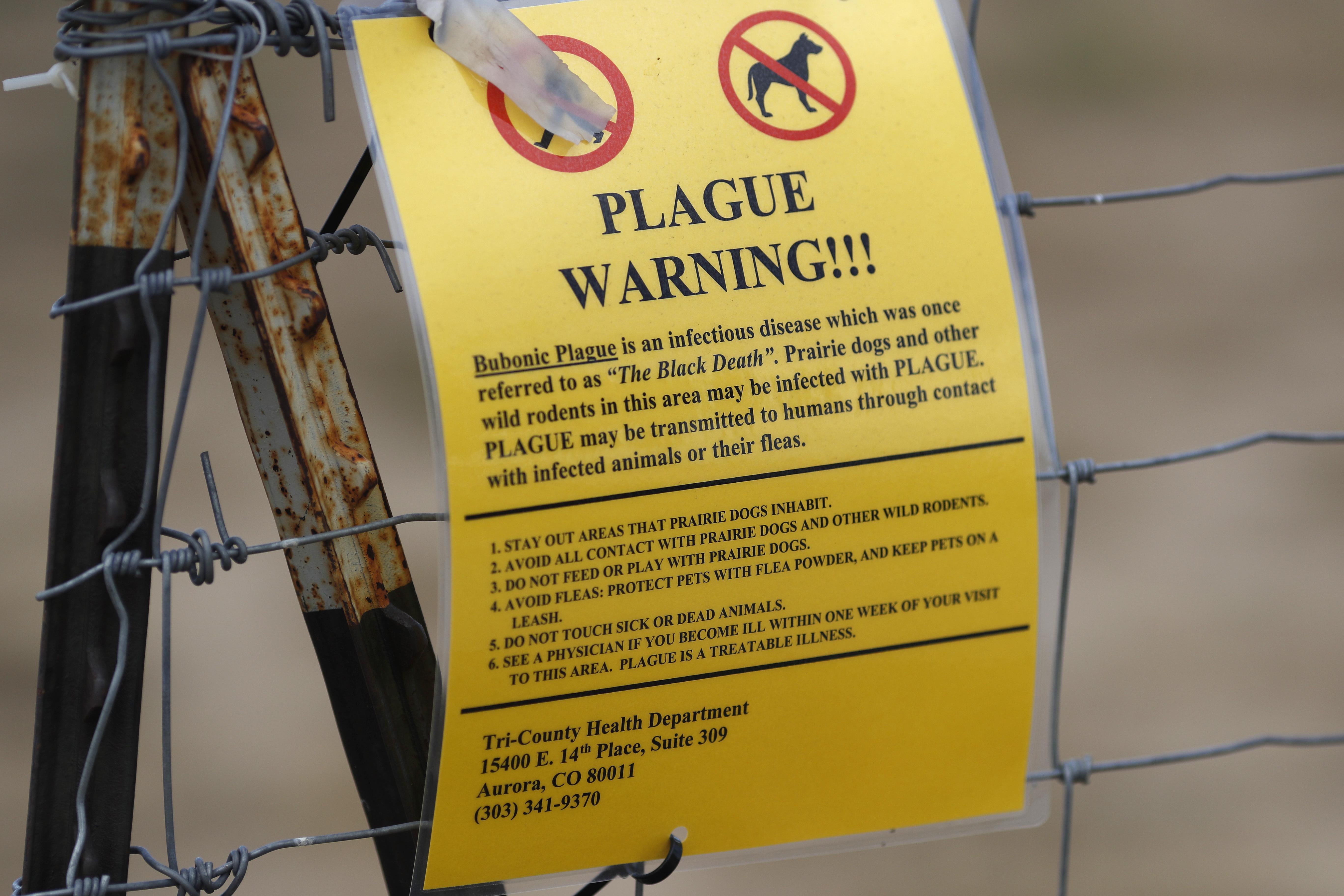 A sign warning of bubonic plague is displayed in Commerce City, Colo., Aug. 10, 2019. A resident of northern Arizona recently died from pneumonic plague, health officials said Friday.