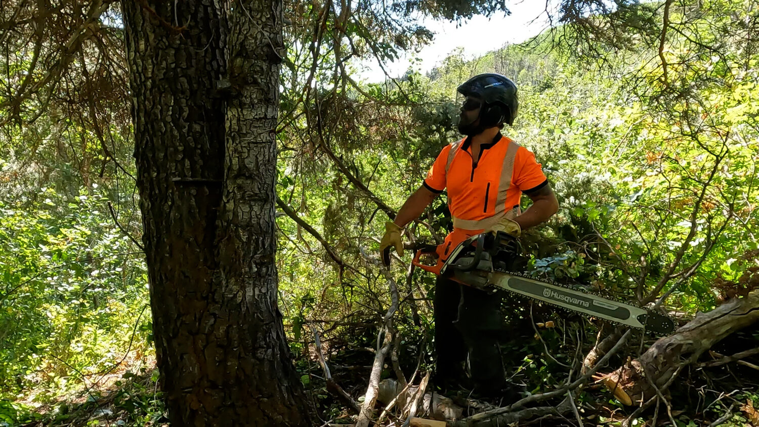 Community grants can help prepare wildland-urban interface areas for fire season