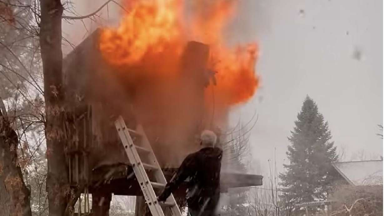 How one man's attempt to rid his treehouse of a raccoon went awry.