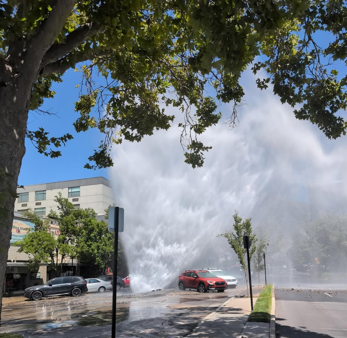Fifteen cars and several businesses were damaged by a water main break on Center Street in Provo Saturday afternoon, city officials said.