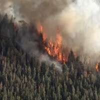 'Avoid the area': Wildfire breaks out on Monroe Mountain in Sevier County