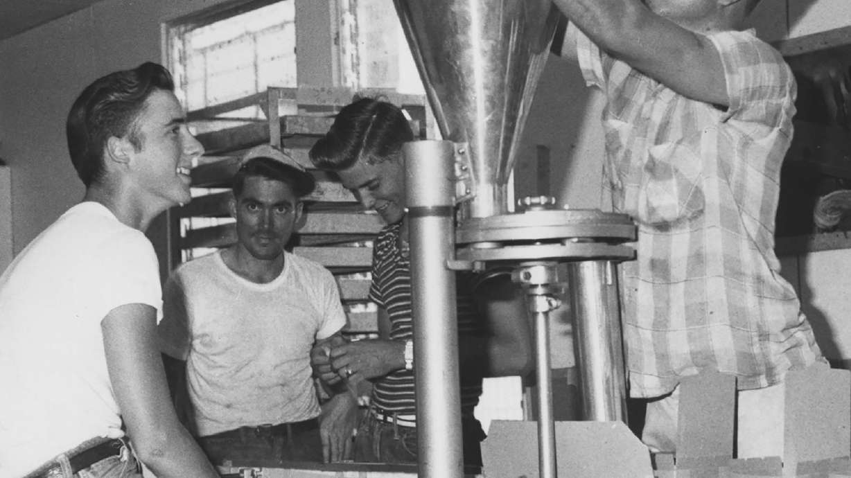 A photo from 1960 shows US workers preparing sterile flies for dispersal. The U.S. plans to breed millions of flies and drop them from planes to combat an outbreak of New World screwworms.