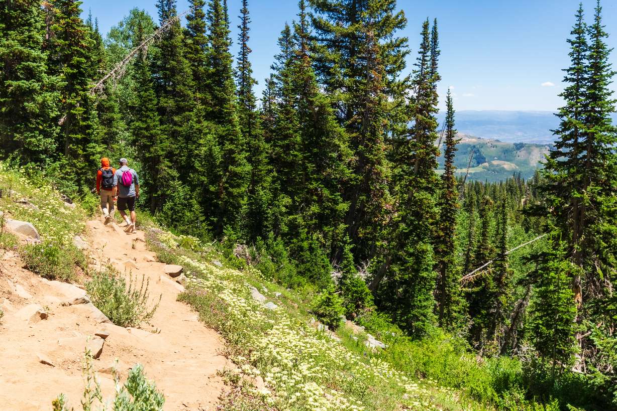 People hike along the Bloods Lake/Lackawaxen Lake Trail in Wasatch County on Sunday. The trail is accessible through Park City Transit's "Trail Service" route that debuted on Friday.