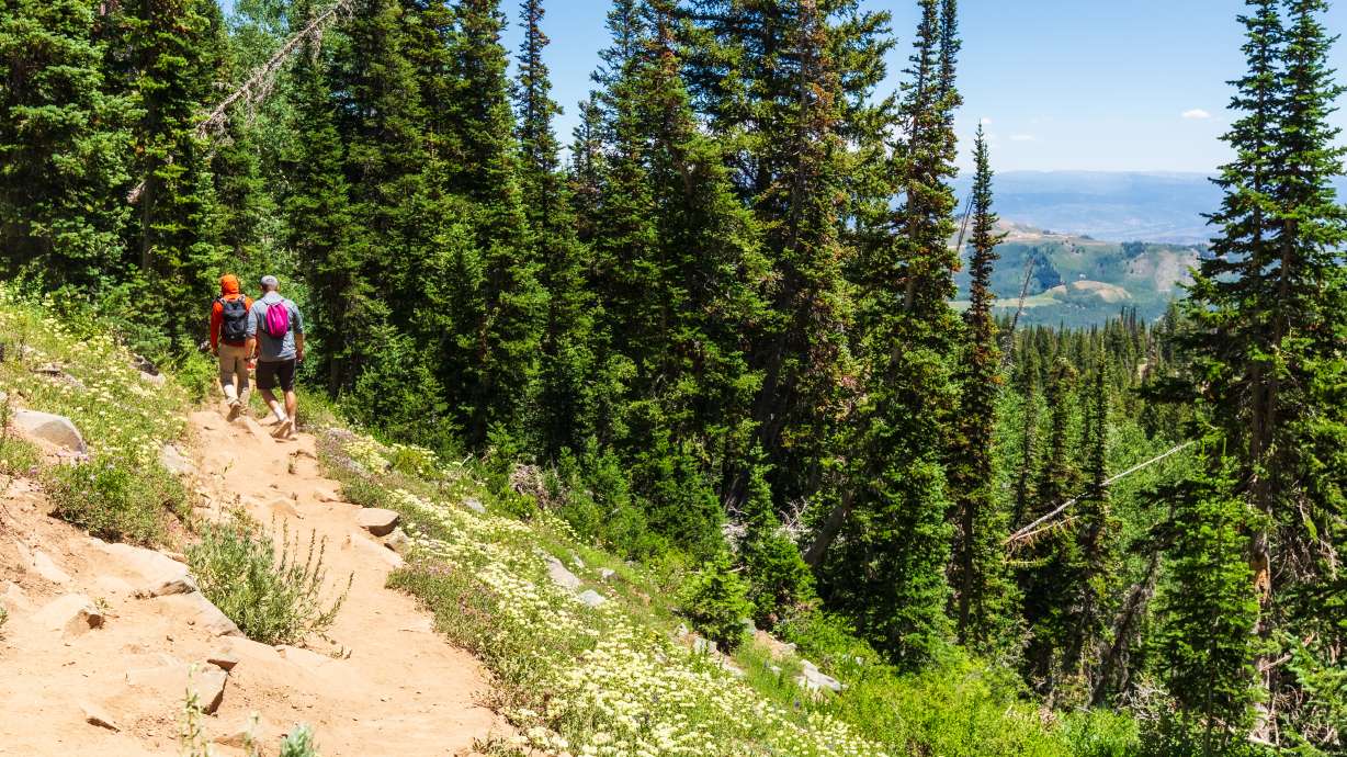 People hike along the Bloods Lake/Lackawaxen Lake Trail in Wasatch County on July 13. Utah was rated as the third-best state for hiking in a KURU Footwear analysis of different outdoor datapoints.