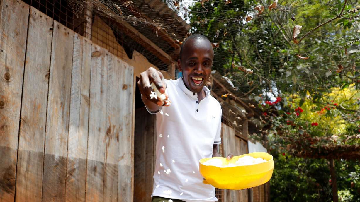 Bernard Mwololo feeds chickens at the Nyumbani Children's Home in Nairobi, Kenya, Aug. 15, 2023. He believes he is only alive because of the anti-retroviral drugs that PEPFAR supplies. The Senate is poised to vote this week on a package of spending reductions, including proposed cuts to funds allocated toward the prevention and treatment of HIV/AIDS.