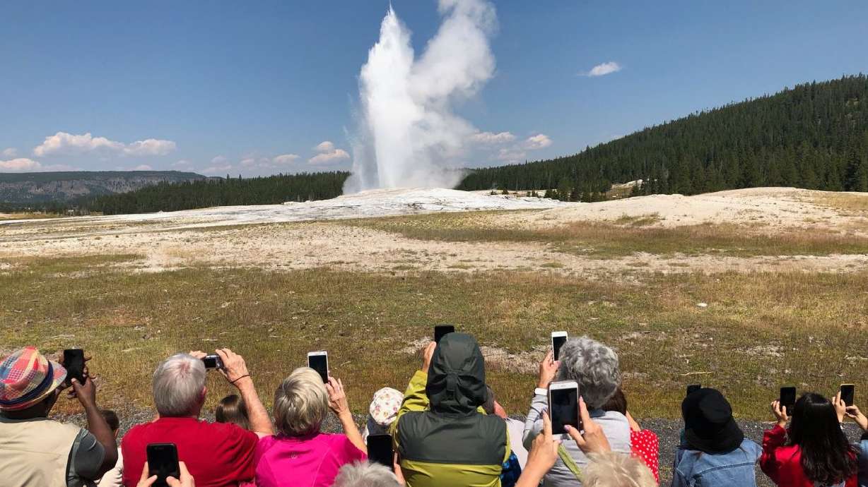 Tourists hold up their phones to capture Old Faithful erupting inside Yellowstone National Park on Aug. 4, 2018. Two hikers were injured in a bear attack on a trail near the site on Monday, park rangers said.