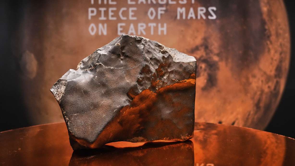 A Martian meteorite said to be the largest piece of Mars on Earth is displayed at Sotheby's in New York, July 9. The 54-pound rock fetched nearly $5.3 million at an auction on Wednesday.