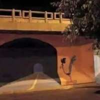 Have You Seen This? 'Beep, beep' — Road Runner prank goes viral again, but still not real