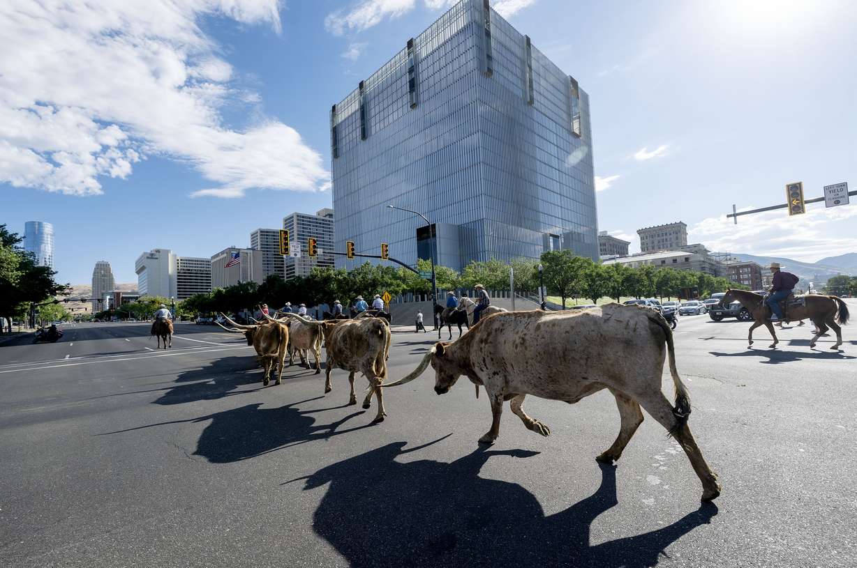Gov. Spencer Cox and first lady Abby Cox join a group for the Days of '47 annual cattle longhorn drive in Salt Lake City on Monday. The group passes by federal court in Salt Lake City.