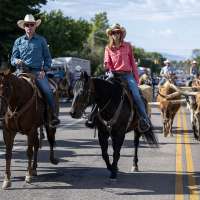 'I feel like a cowboy': Downtown cattle parade, children's rodeo encourage Western spirit