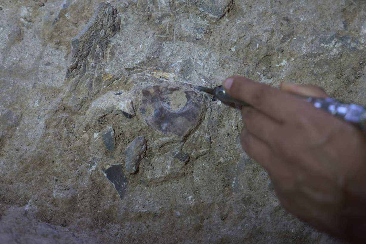 Volunteers work in Tinshemet Cave, where archaeologists are excavating one of the world's oldest known burial sites, dating back 100,000 years, near Shoam, Israel, July 15, 2025.